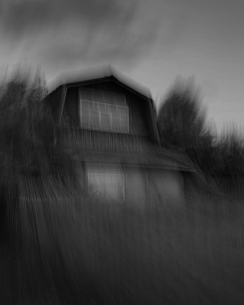A Blurred Grayscale Photo of a House