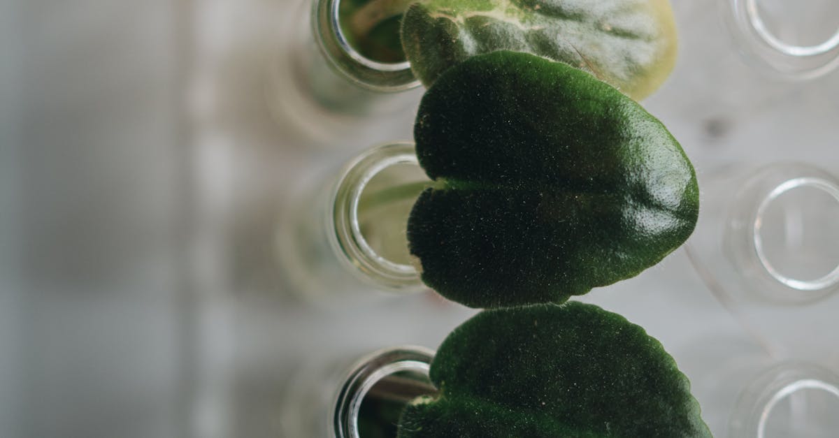 內生性幹細胞療法 助腦中風患者重建生活自主