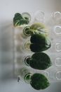 Free stock photo of analysis, biochemistry, biology