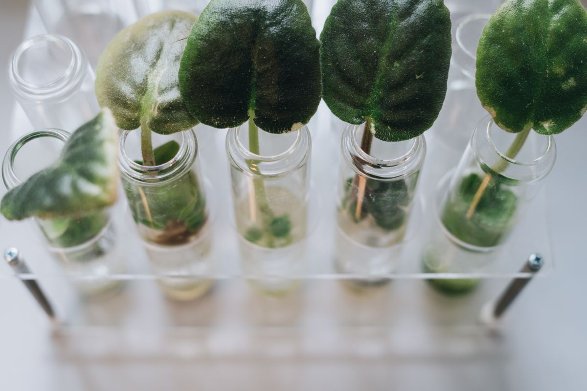 Bio vs conventionnel : ce que dit vraiment la science - 5. Quel bilan environnemental entre bio et conventionnel ?