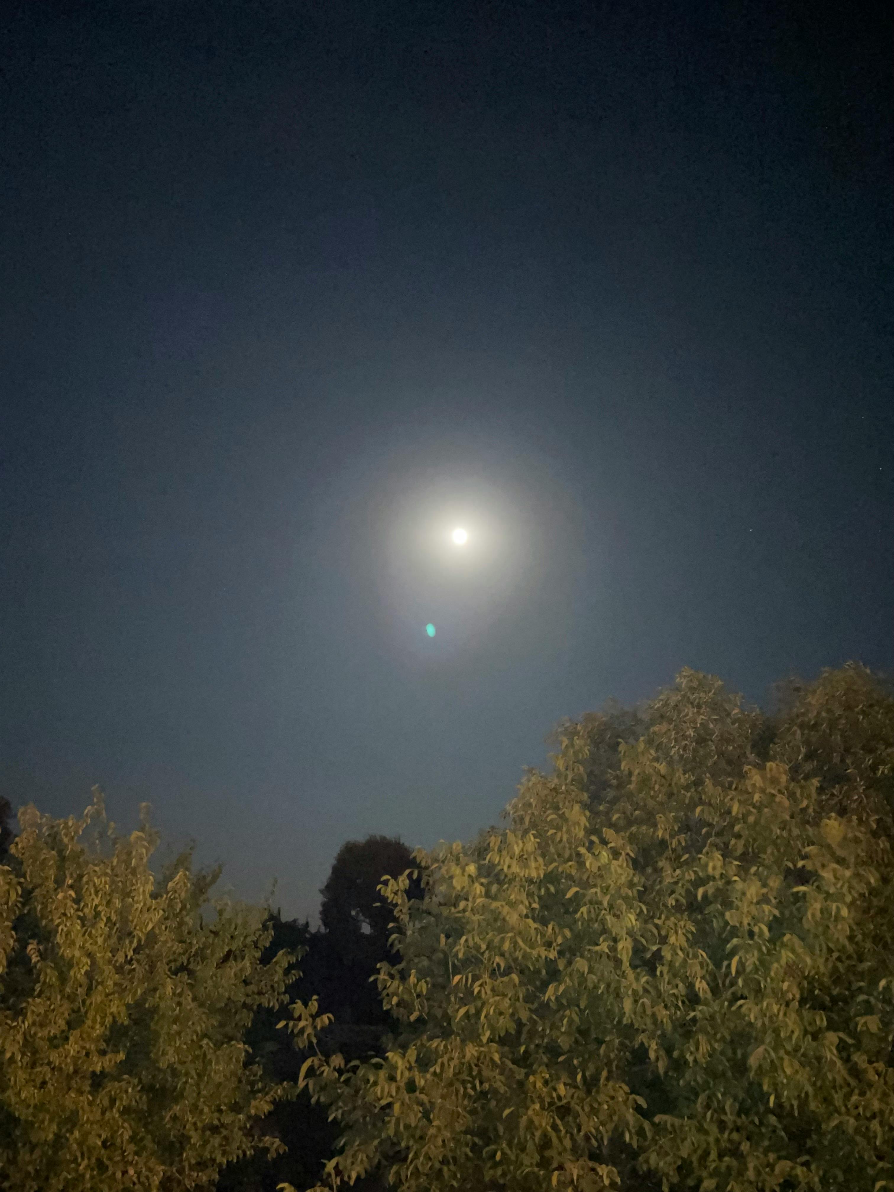 Life insurance as a financial protection for retirees 2025