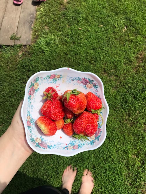 Kostenloses Stock Foto zu erdbeeren, essen, frisch