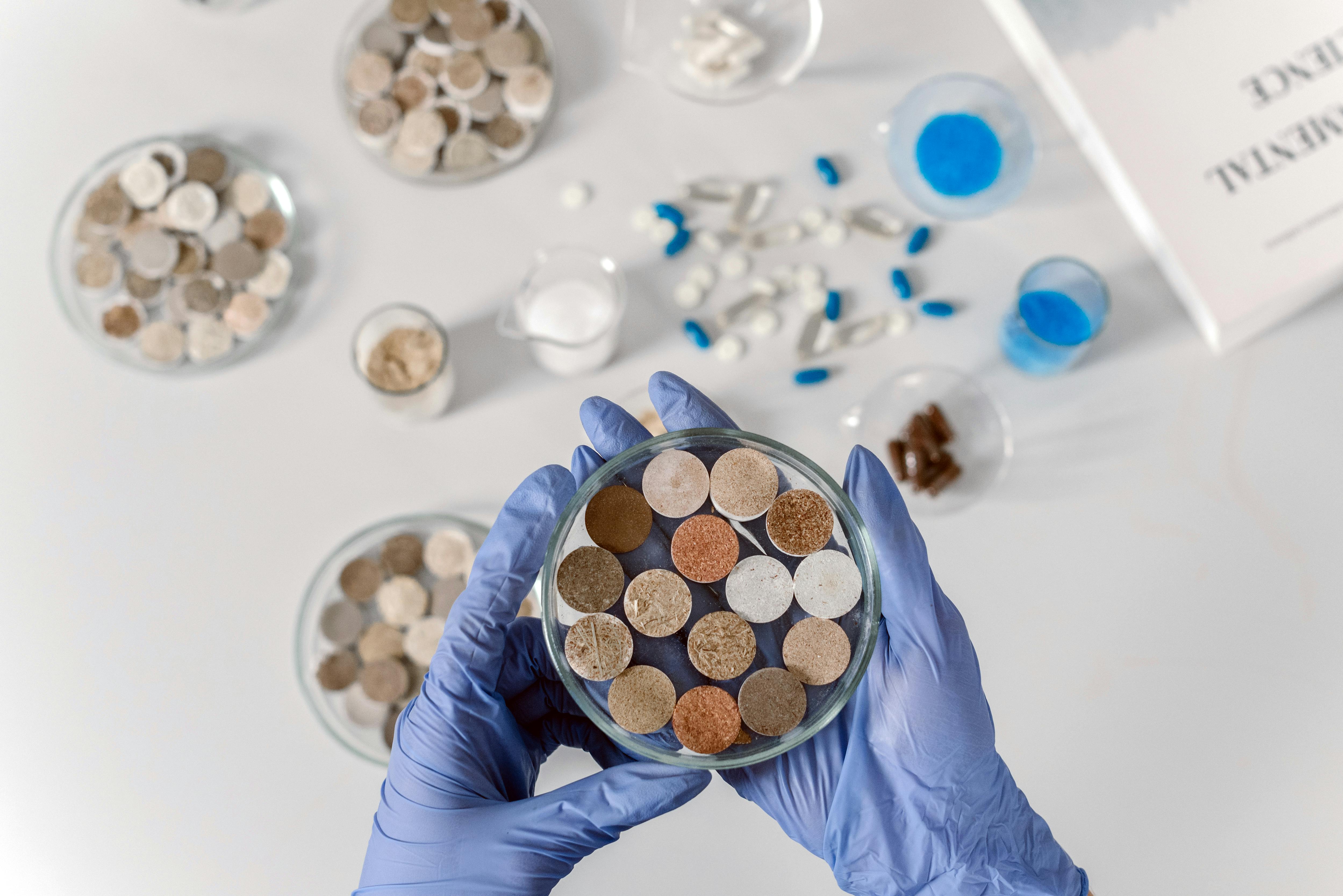 Cientista examinando amostras de solo em pratos de petri.