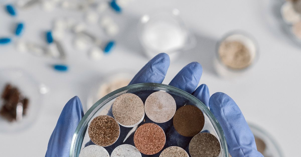 Los 8 microorganismos más resistentes conocidos por la biología Los 8 microorganismos más resistentes conocidos por la biología