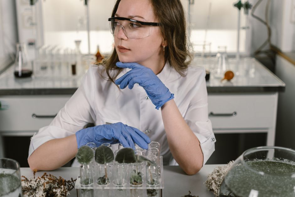 Laboratory technician examining bird samples