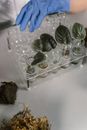 Clear Glass Container on White Table