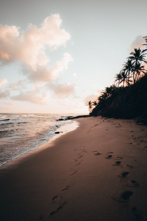 Free Footprints on a serene San Juan beach at sunset, with palm trees lining the shore and golden light reflecting on the water. Stock Photo
