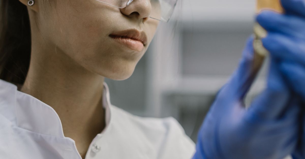 Mayagüez, en Puerto Rico: ciencia universitaria que conecta talento con industrias emergentes Mayagüez, en Puerto Rico: ciencia universitaria que conecta talento con industrias emergentes