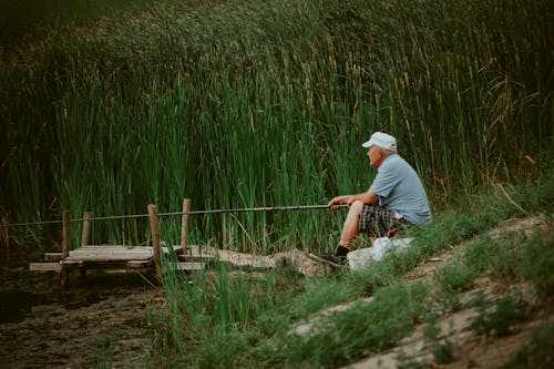 Fotos de stock gratuitas de búsqueda al aire libre, caña de pescar, estilos de vida