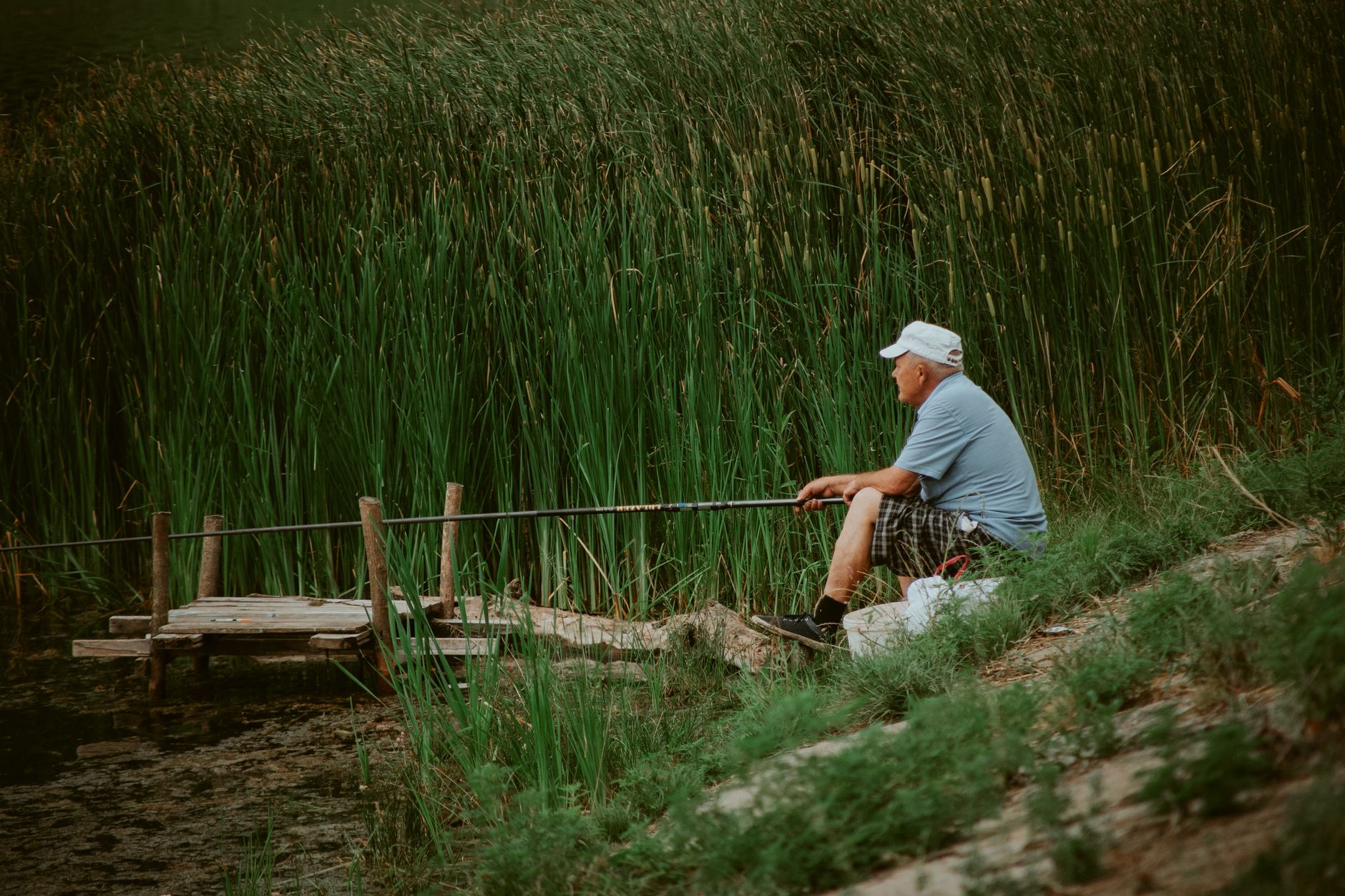 A senior man enjoys a peaceful fishing experience by a serene lake surrounded by tall reeds.