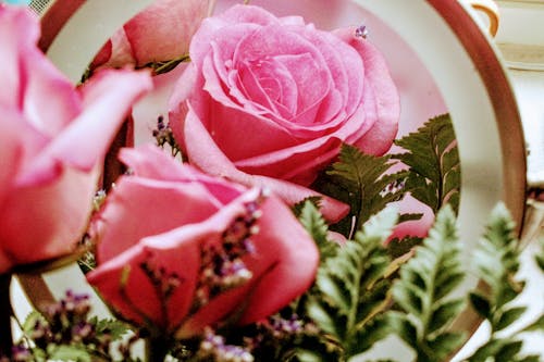 Układ Różowe Płatki Kwiatów