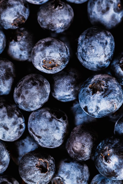 Close-up of Blueberries 