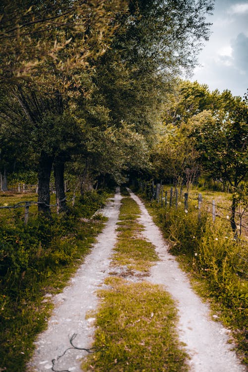 Off Road in the Countryside