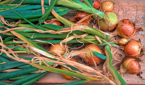 Free Close-up of freshly harvested onions with green stems on a rustic wooden surface. Stock Photo