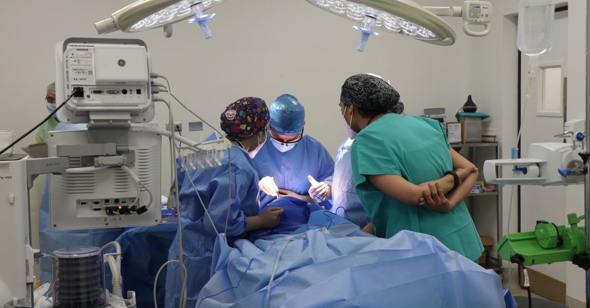 Cirugía y esterilización
