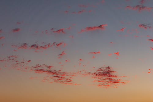 無料 スカイスケープ, ローアングルショット, 日没の無料の写真素材 写真素材