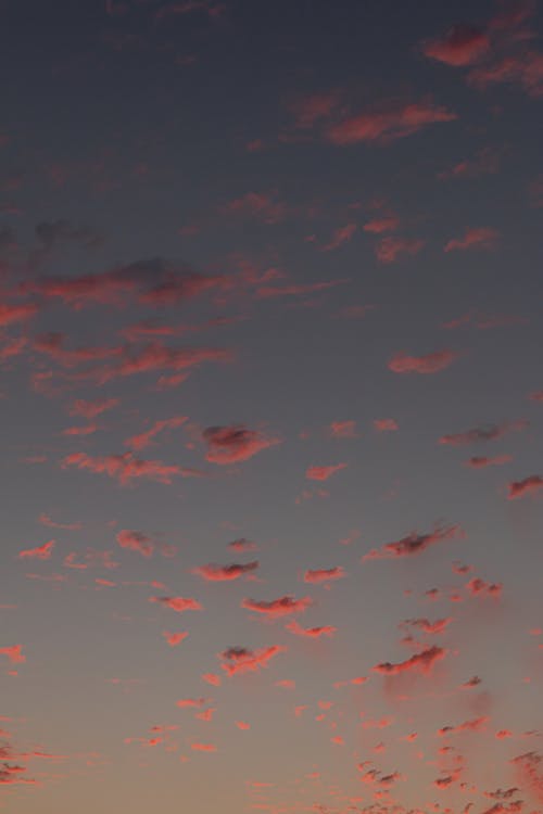 бесплатная Бесплатное стоковое фото с атмосфера, вертикальный выстрел, закат Стоковое фото