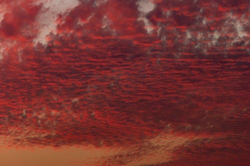 Red Clouds under Evening Sky