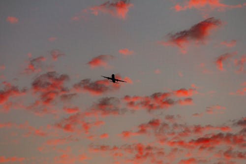 Foto profissional grátis de aeronáutica, céu, escuro