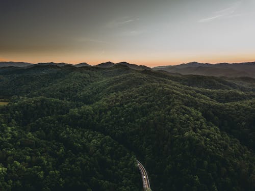 Imagine de stoc gratuită din apus, arbori, cer