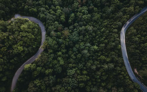 Бесплатное стоковое фото с гора, деревья, дорога