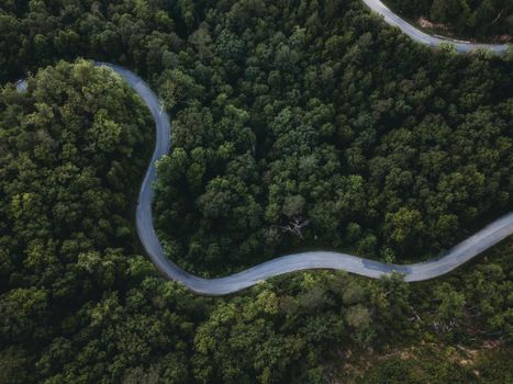 A stunning aerial view of a winding road cutting through a dense green forest.