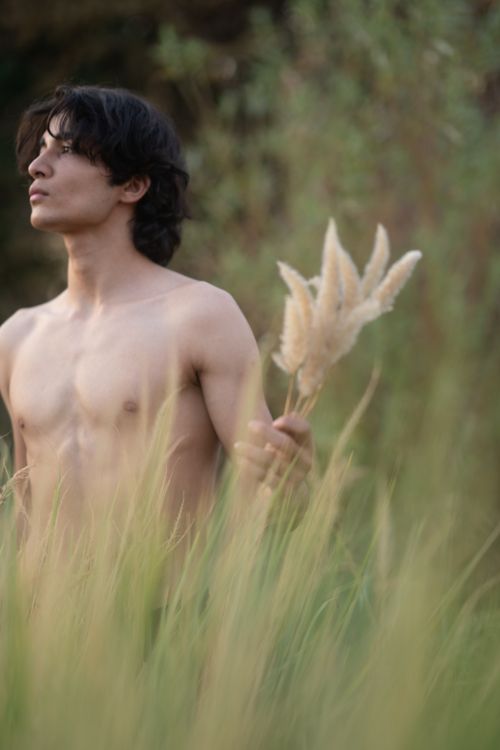 Free Shirtless young man standing in tall grass, holding pampas grass in a serene natural setting. Stock Photo