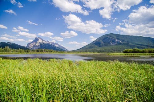 Free Scenic Landscape of a Lake  Stock Photo
