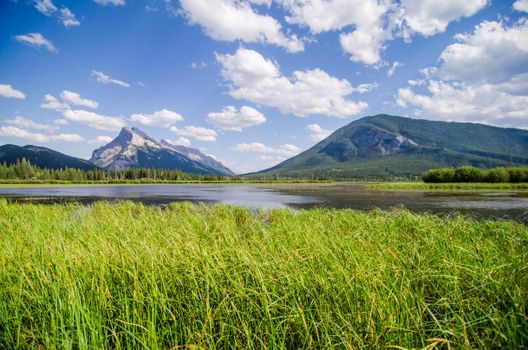 Beautiful mountain landscape with a tranquil lake and lush grass under a bright blue sky.
