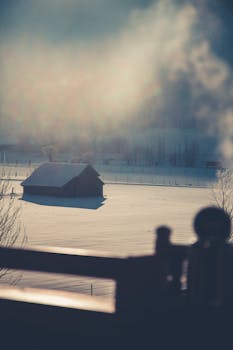 宁静的冬日景色中，白雪覆盖的小屋与雾气弥漫的氛围相映成趣
