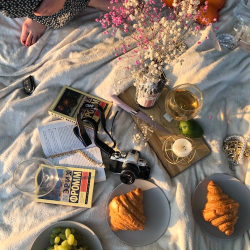 Free Books, a Camera, Pastries, Flowers and a Wine Glass on a Picnic Blanket Stock Photo