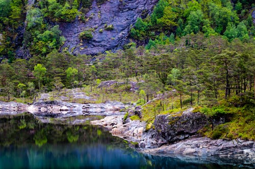 Free Landscape Photography of Lake and Trees Stock Photo