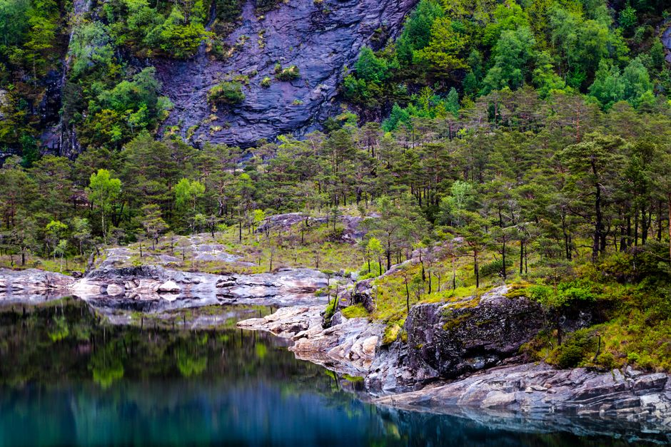 Unforgettable Tromso Northern Lights Minibus Chase Small Group Tour with Photos Review 2026 - A breathtaking view of a secluded lake and lush forest in Hol, Buskerud, Norway.