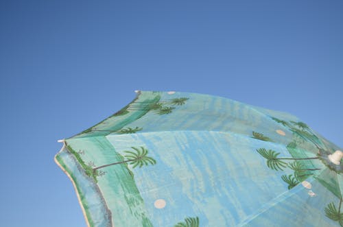 Gratis stockfoto met heldere blauwe lucht, hemel, palmbomen