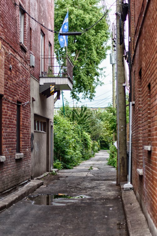 Free A Narrow Alley between Concrete Buildings Stock Photo