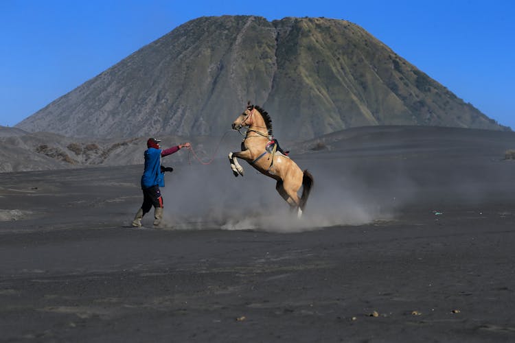 Man Taming Horse In Volcanic Wasteland