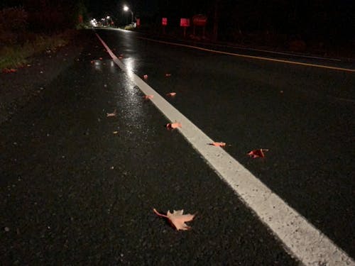 Free stock photo of asphalt, asphalt road, at night