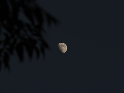 Free Photo of the Moon  Stock Photo