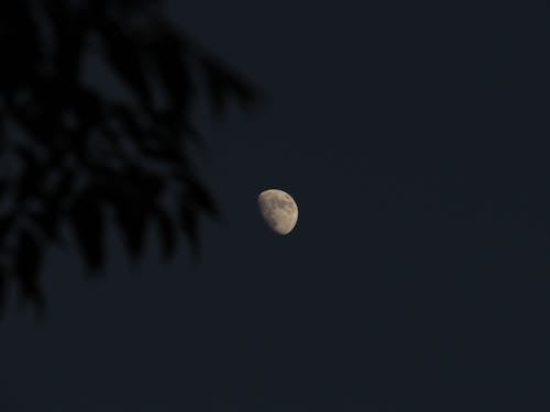 Photos gratuites de astronomie, ciel, clair de lune