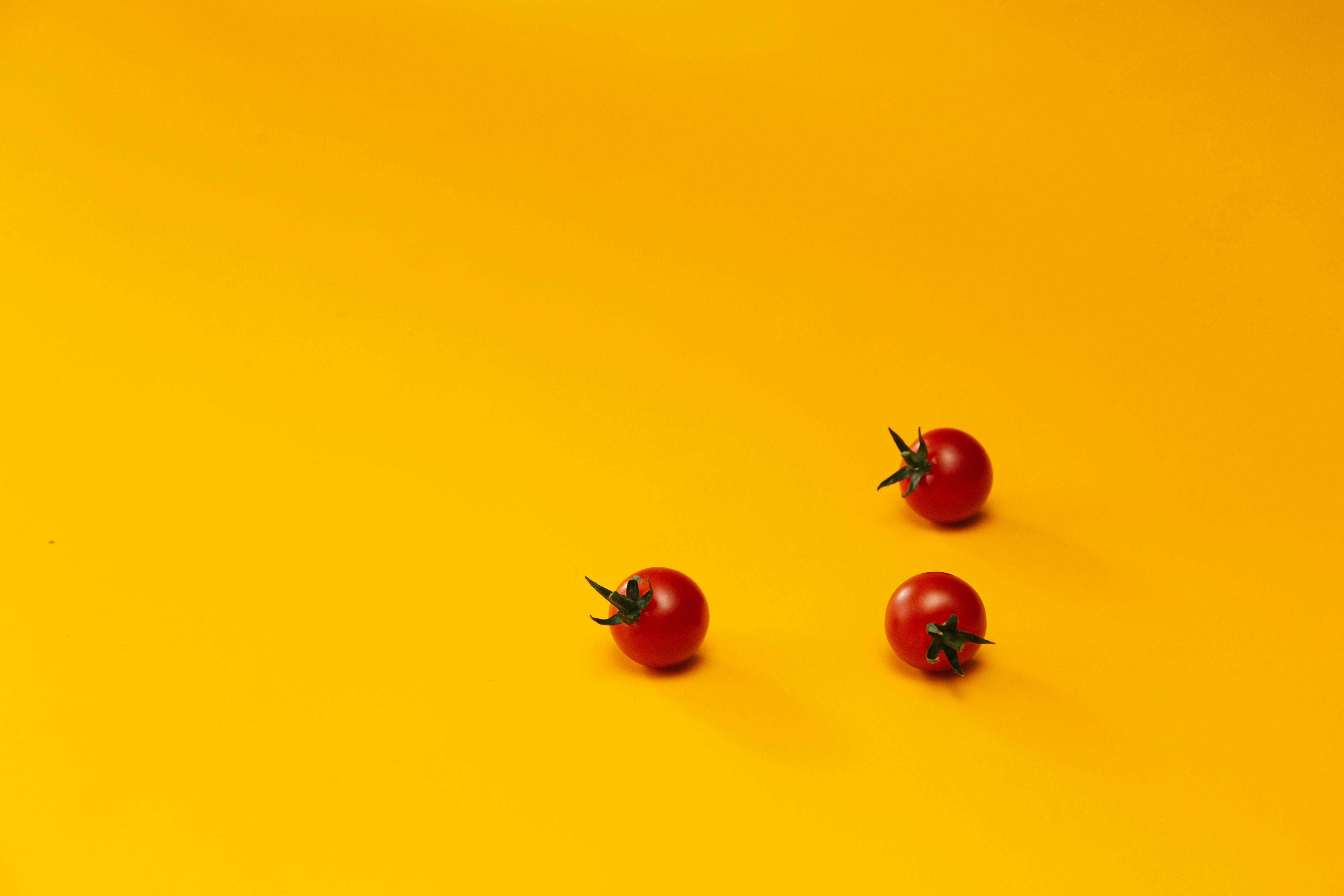 Rotten Tomatoes Awards: Best Movies &amp; TV Winners 2025 — Photo by Ron Lach on Pexels