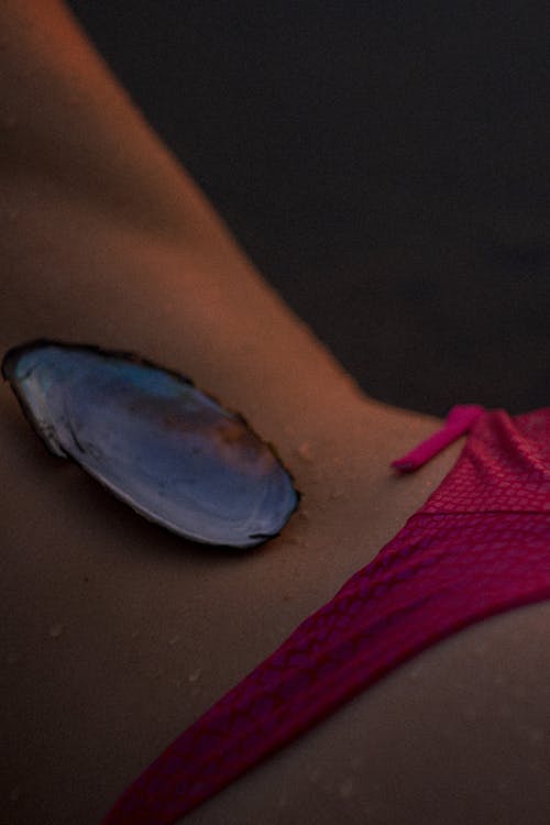 Fotos de stock gratuitas de agua, atrás, bikini