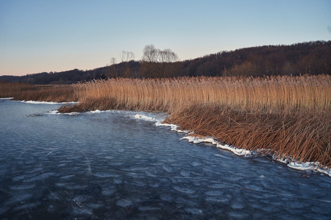 Free stock photo of big waterm, blue, cold Stock Photo