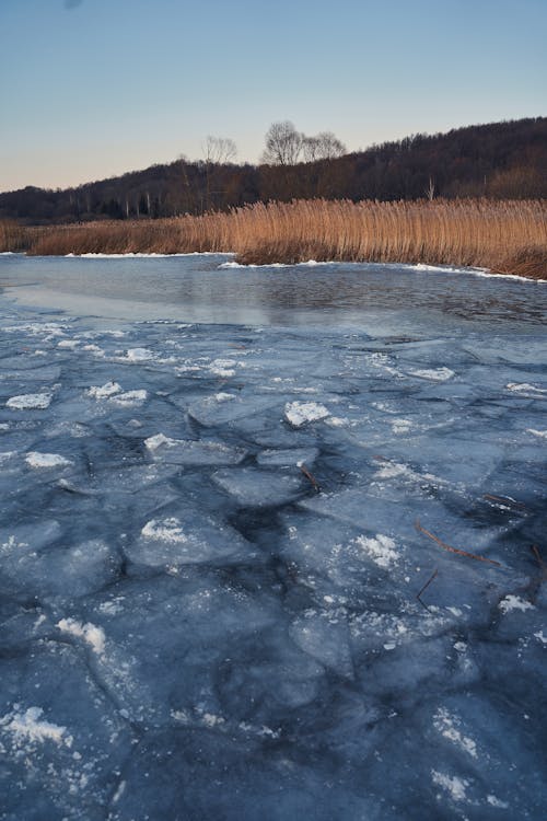 Ice Chunks in a Frozen Lake