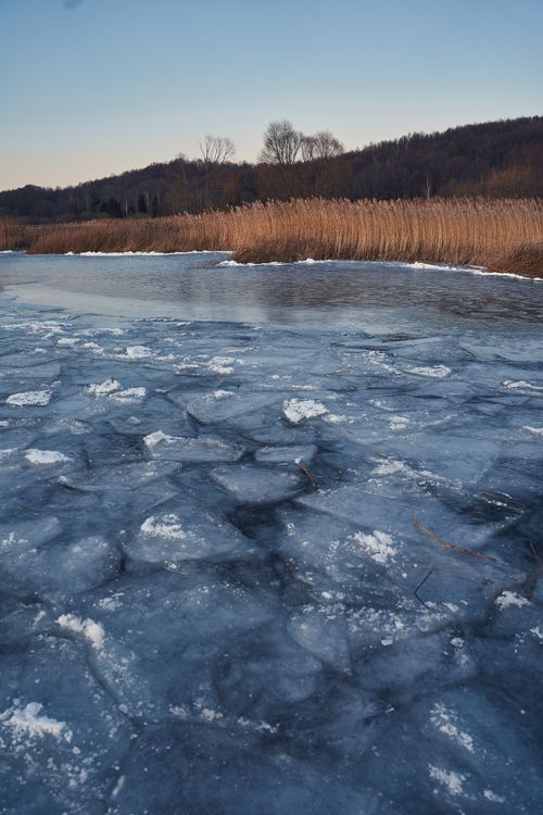 Free Scenic view of a frozen lakeshore in winter at Pereslavl-Zalessky, Russia. Stock Photo