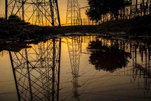 Silhouette of Trees and Electric Tower Reflecting on Body of Water during Sunset