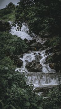 Image by Akshay  Patil