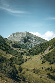 A picturesque mountain landscape in the Pyrenees with clear skies and lush greenery.
