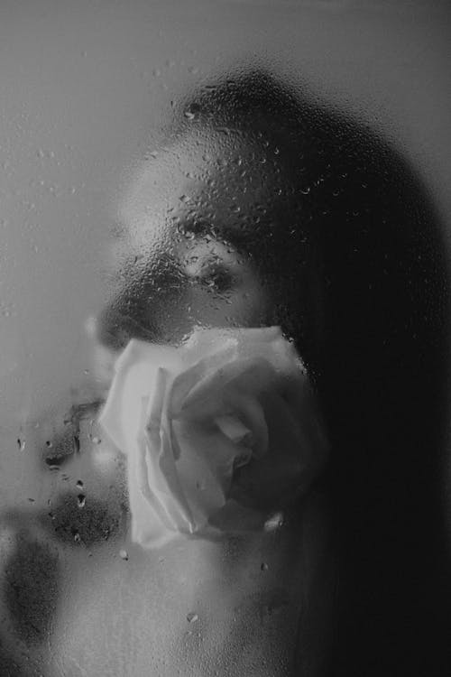 Darmowe zdjęcie z galerii z czarno-biały, kwiat, monochromatyczny