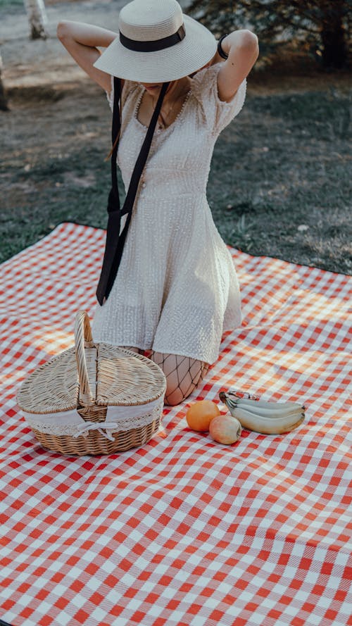 Free Brown Woven Basket on Red and White Checkered Picnic Blanket Stock Photo