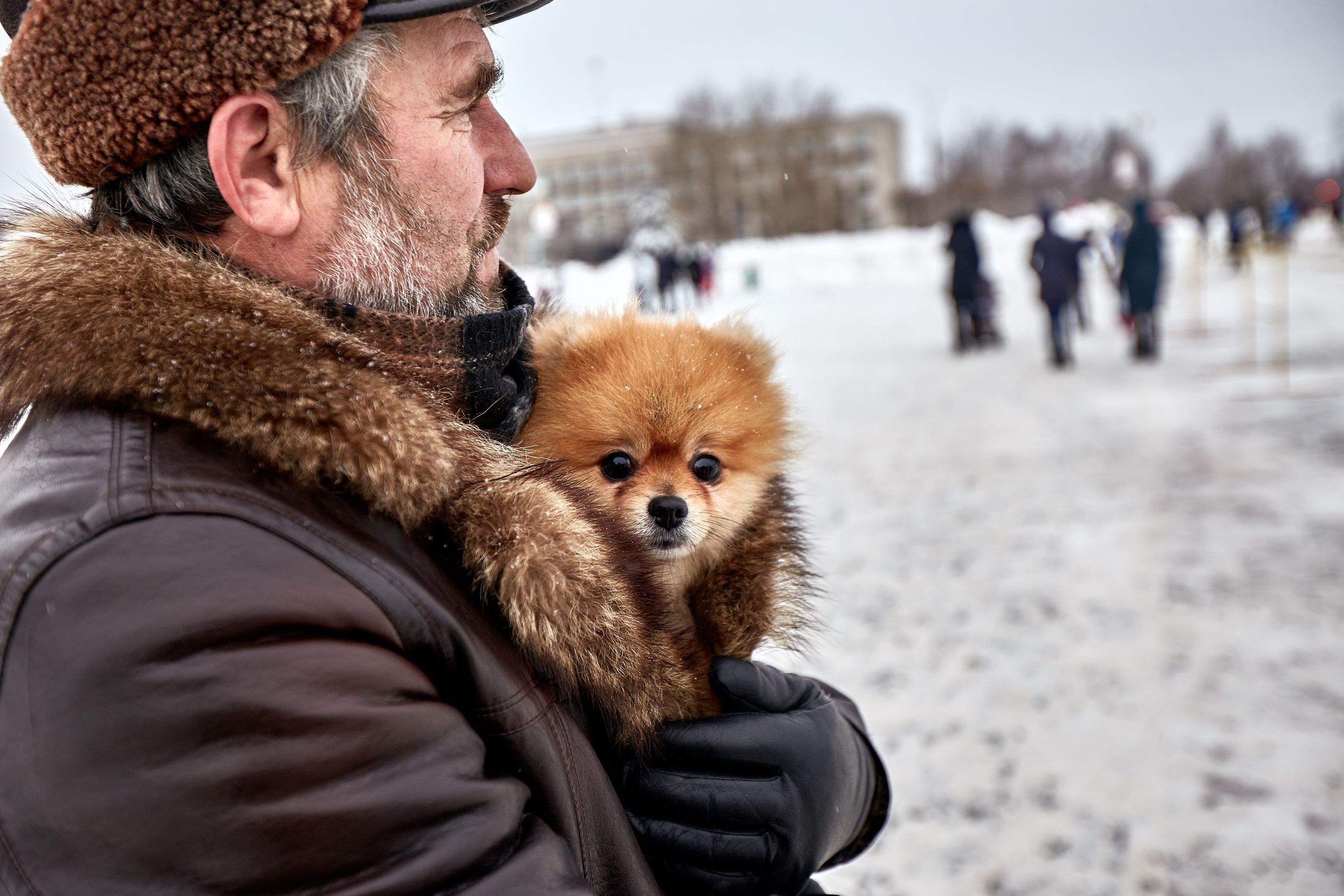 An elderly man holding a Pomeranian dog outdoors on a cold winter day.